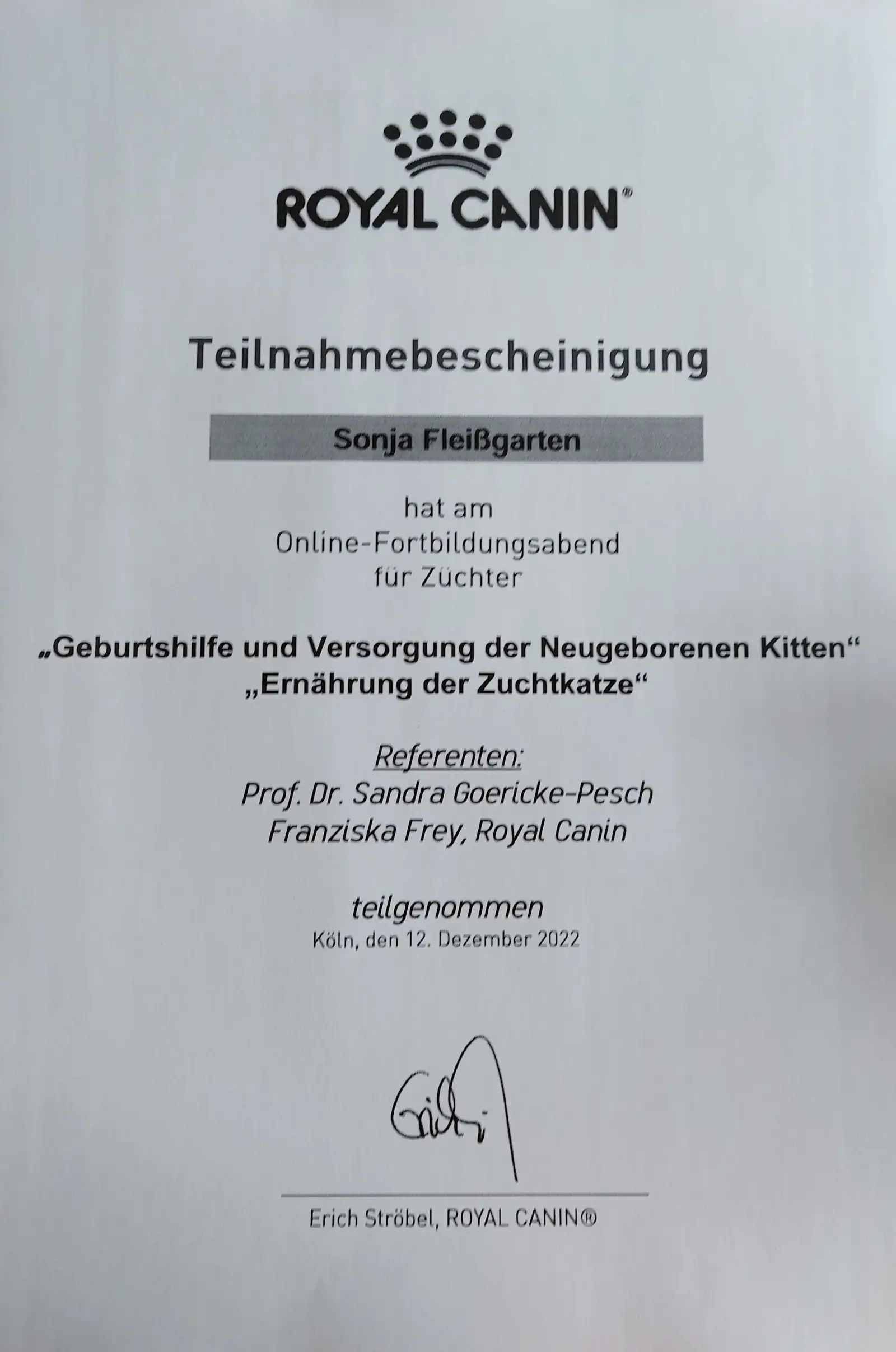 Fortbildungszertifikat: Geburtshilfe bei der Katze