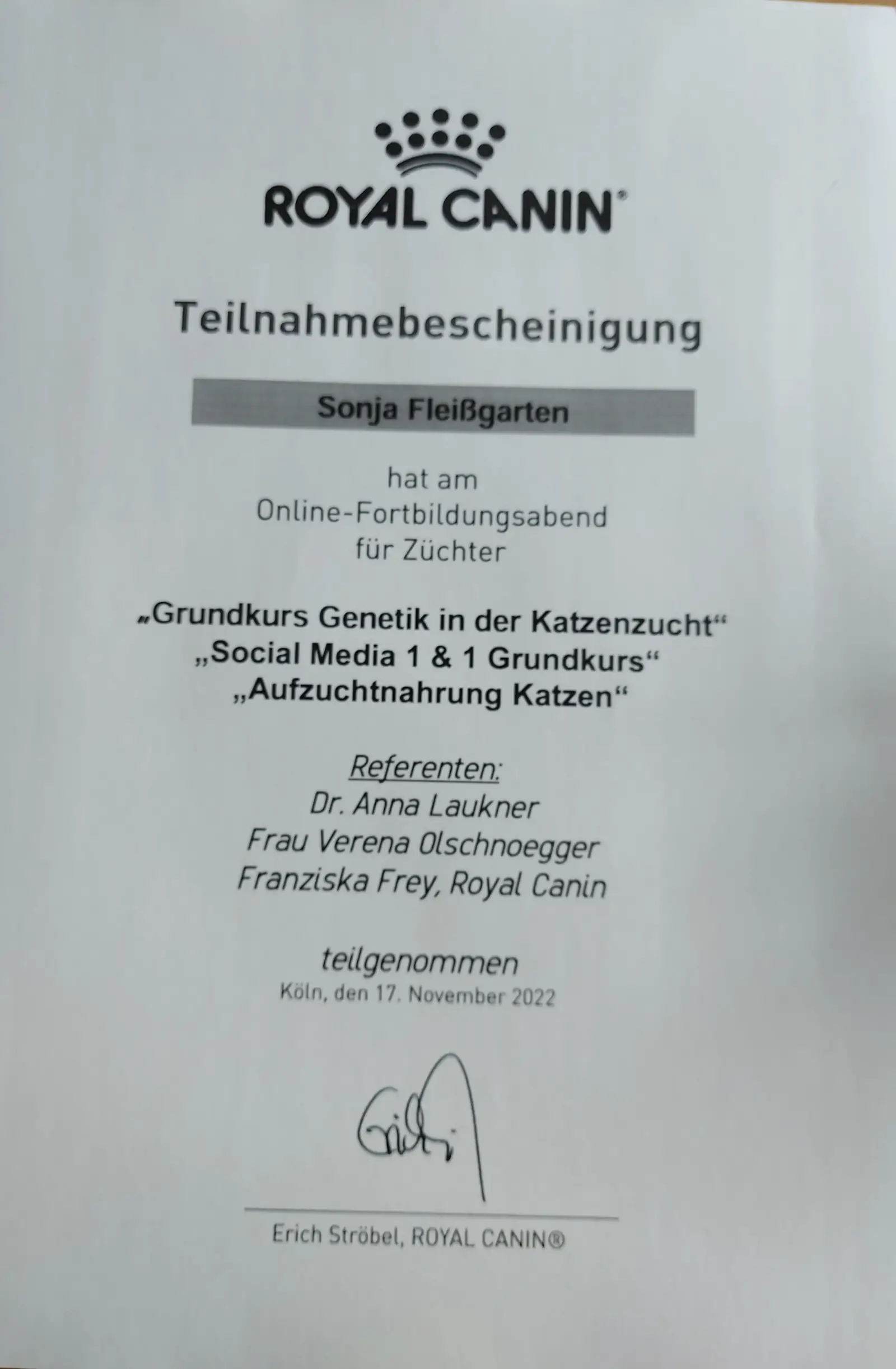 Fortbildungszertifikat: Katzengenetik – Grundkurs