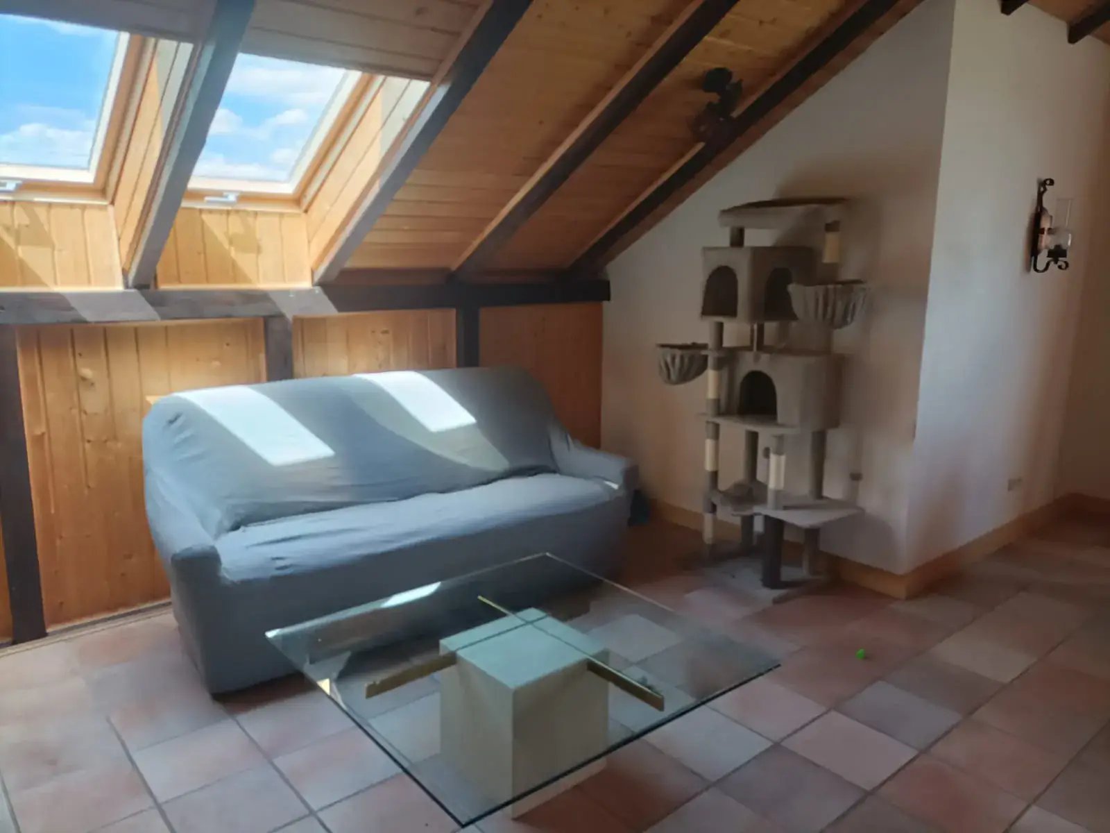 Katzenzimmer im Dachgeschoss mit Sofa, Kratzbaum und Dachfenster