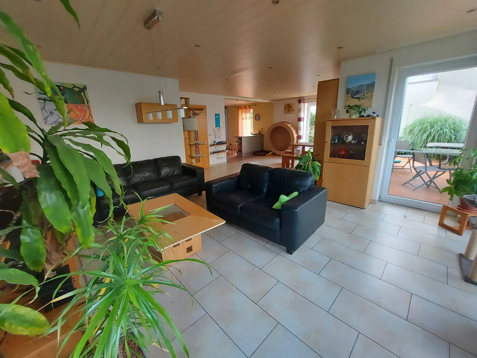 Wohnzimmer der Zuchtstätte, in dem die Kitten aufwachsen